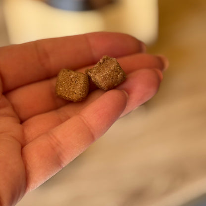 Handmade Dog Treat Taster Pack – Low Fat & Naturally Delicious 🐾