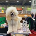 Grooming bundle