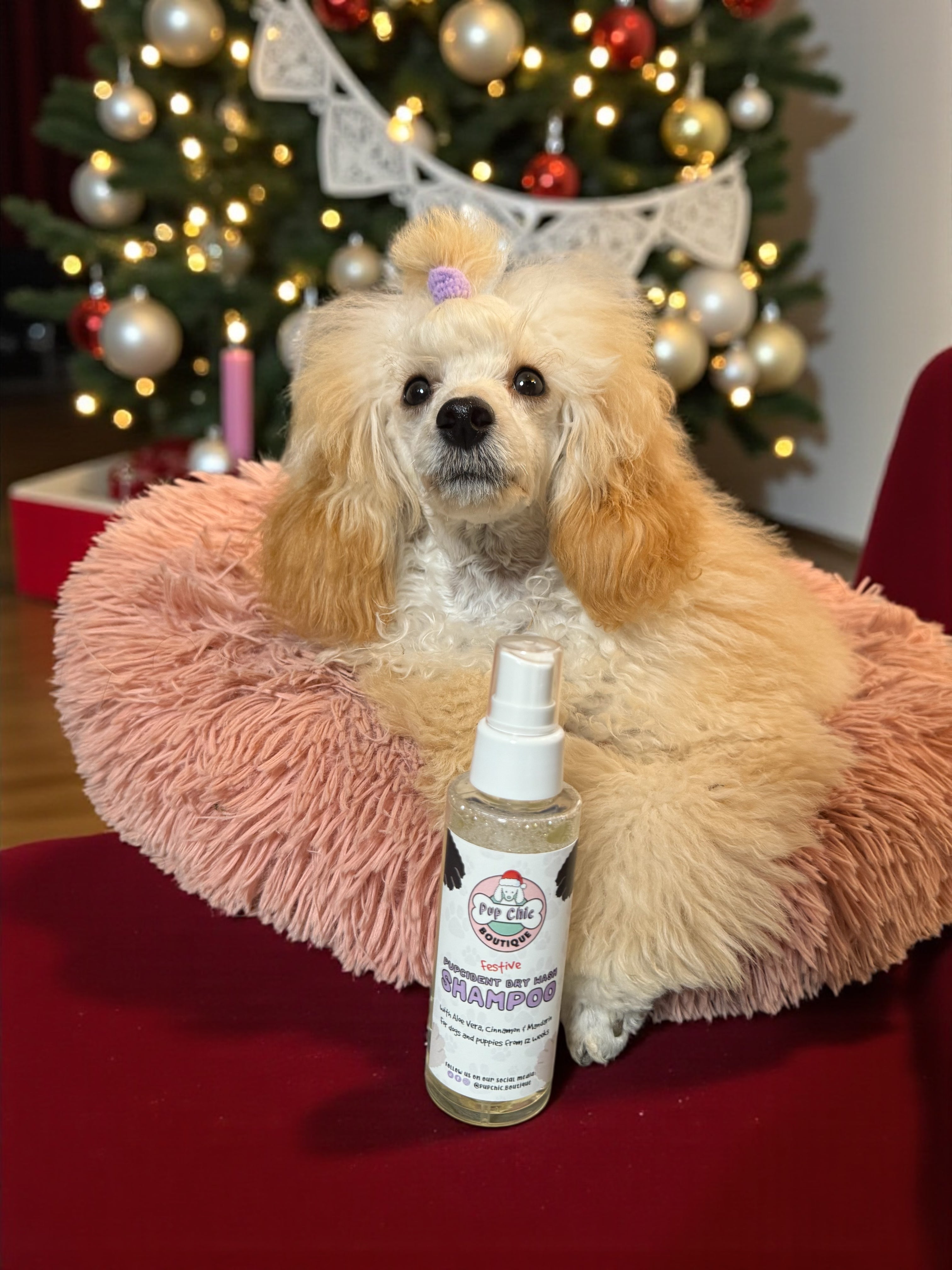 Limited Edition Festive Pupcident Dry Wash Shampoo – Cinnamon & Mandarin with Aloe Vera 🎄