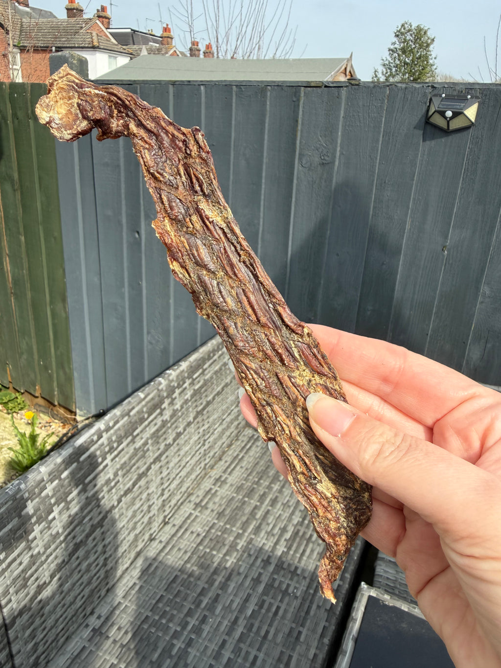 Ostrich Steaks (Single-Protein Dog Treat)