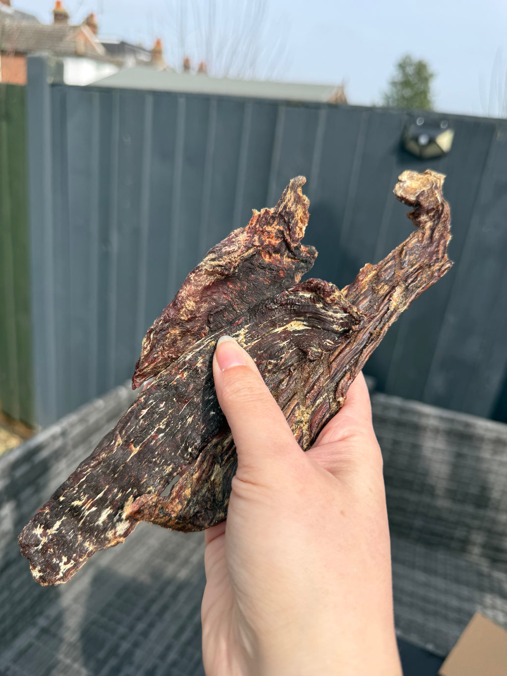 Ostrich Steaks (Single-Protein Dog Treat)