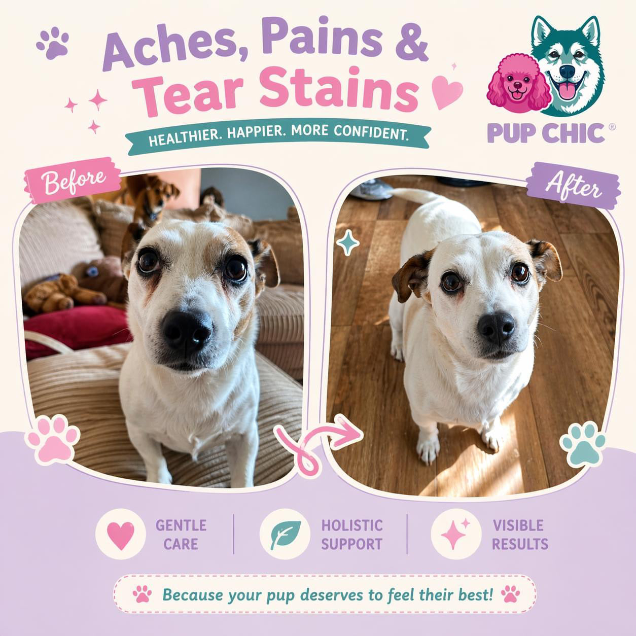 Aches, Pains & Tear Stains Dog Supplement – Natural Relief for Joints & Eyes