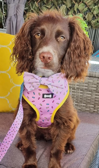 Pink Sprinkles For Days Bow Tie - Pup Chic Boutique