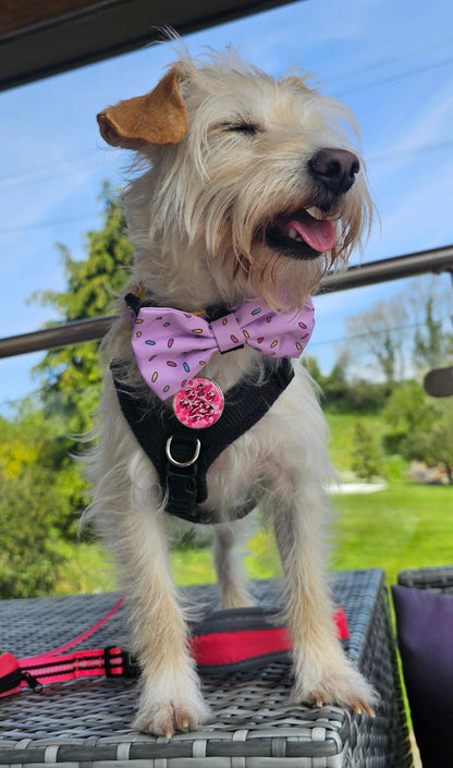 Pink Sprinkles For Days Bow Tie - Pup Chic Boutique