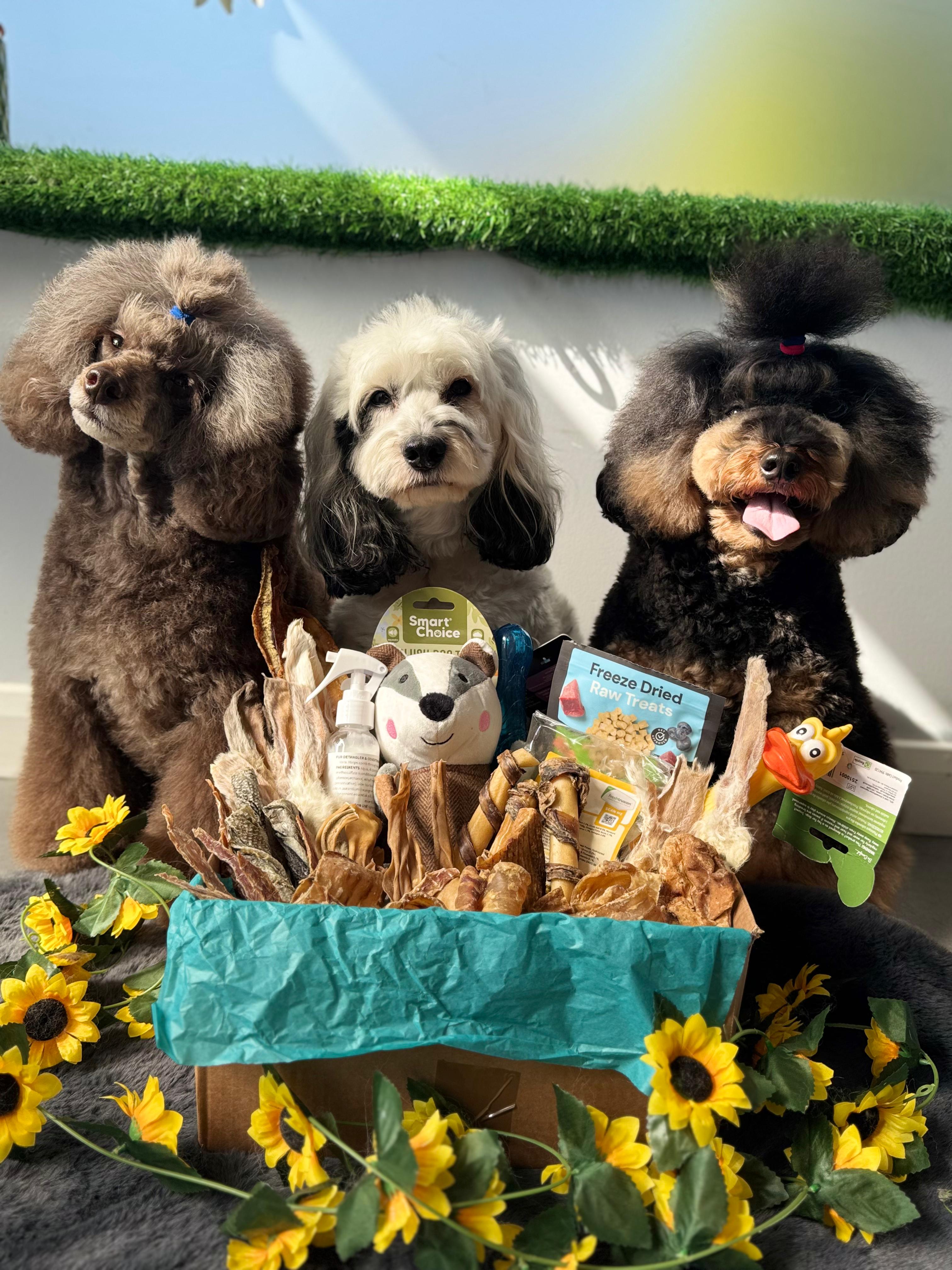 Monthly Dog Subscription Box