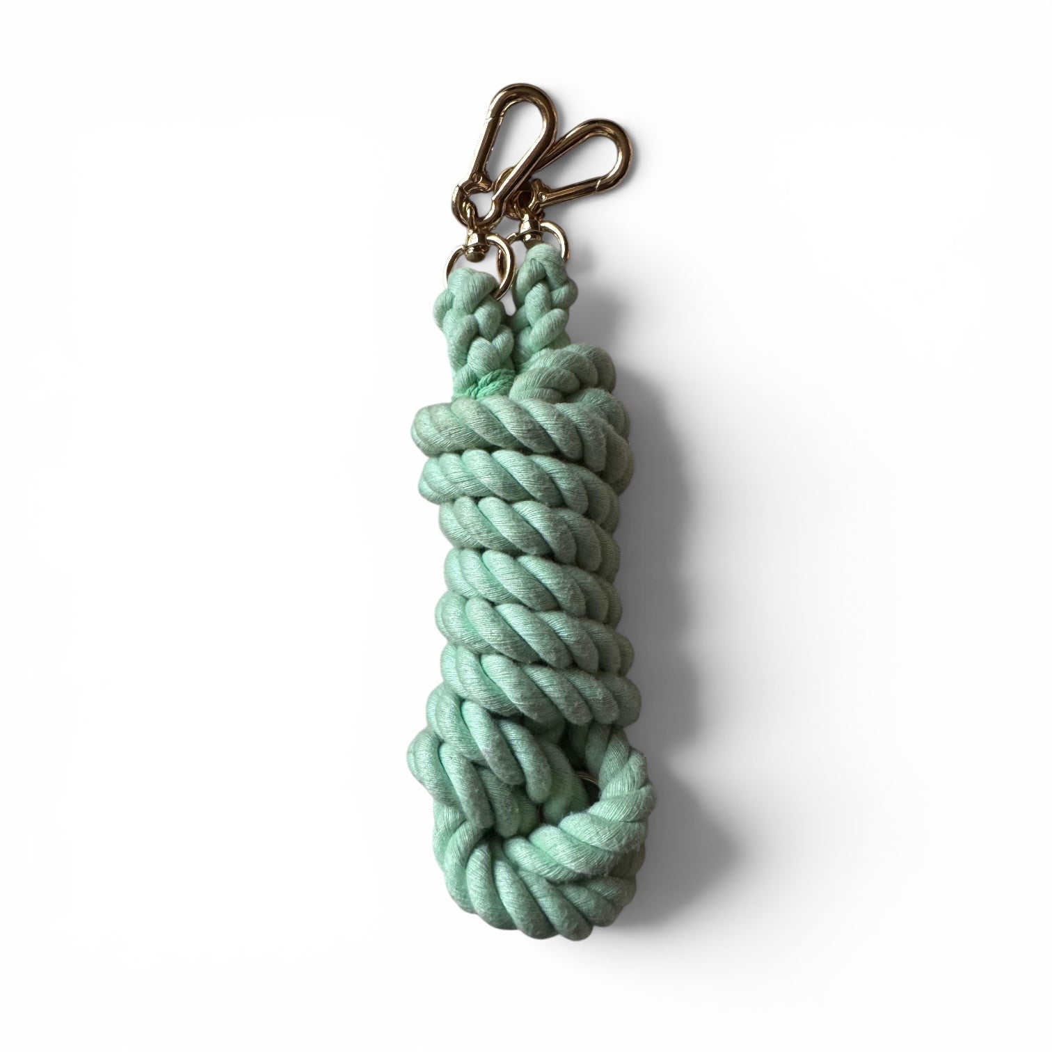 Mint Green Multi-Use 7ft Rope Dog Lead – Bold, Durable & Versatile