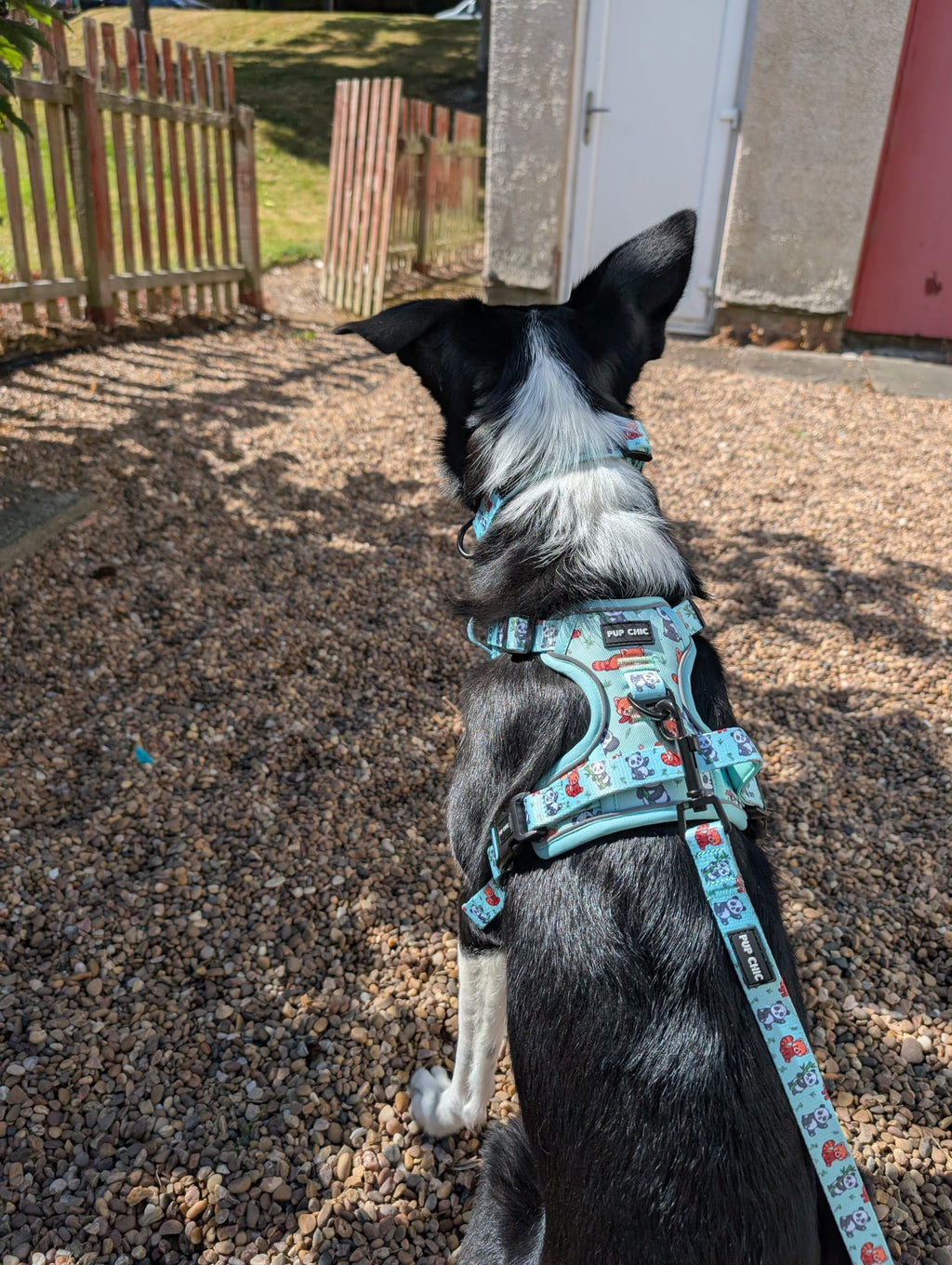 Panda Paradise Tactical Dog Harness