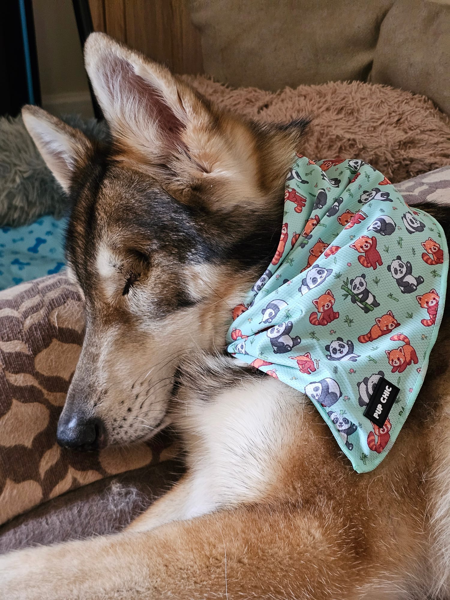 Panda Paradise Cooling Bandana