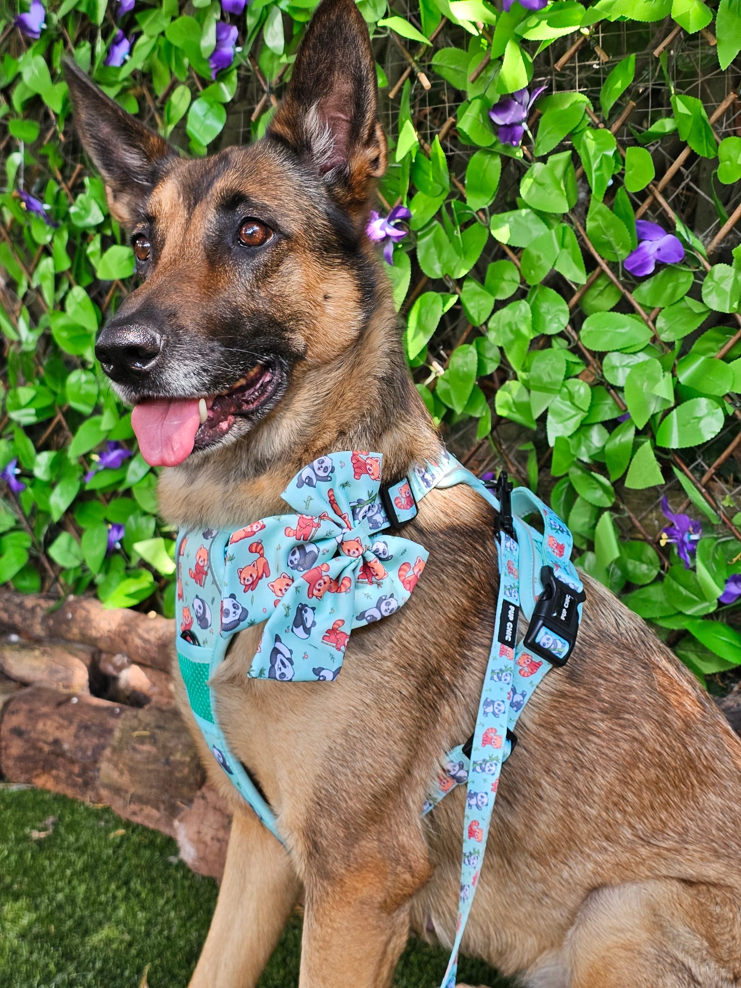 Panda Paradise Tactical Dog Harness