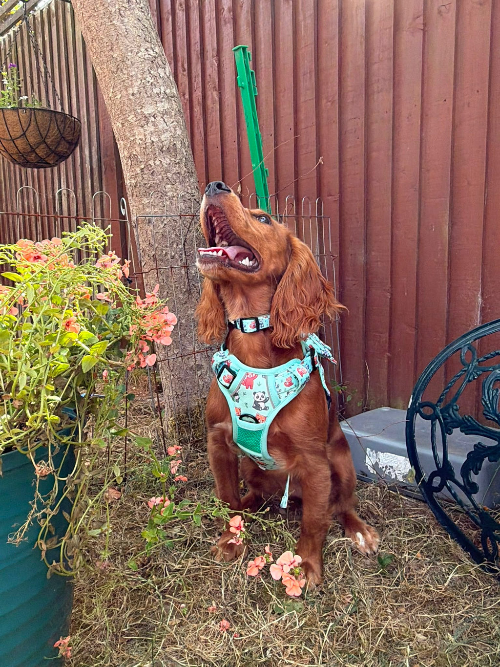 Panda Paradise Tactical Dog Harness