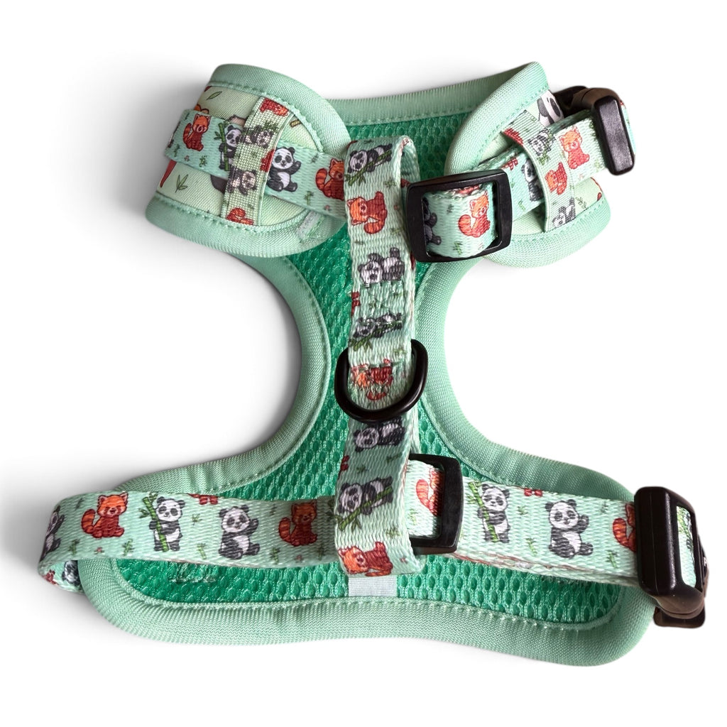 Panda Paradise Step-In Adjustable Dog Harness