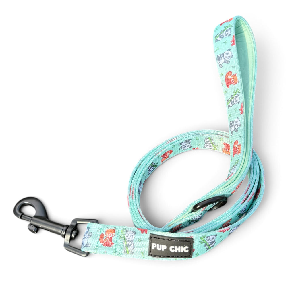 Panda Paradise Tactical harness, standard collar & lead bundle
