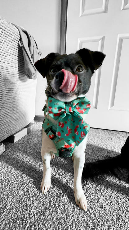 Inquisitive Fox Sailor Bow Tie for Dog