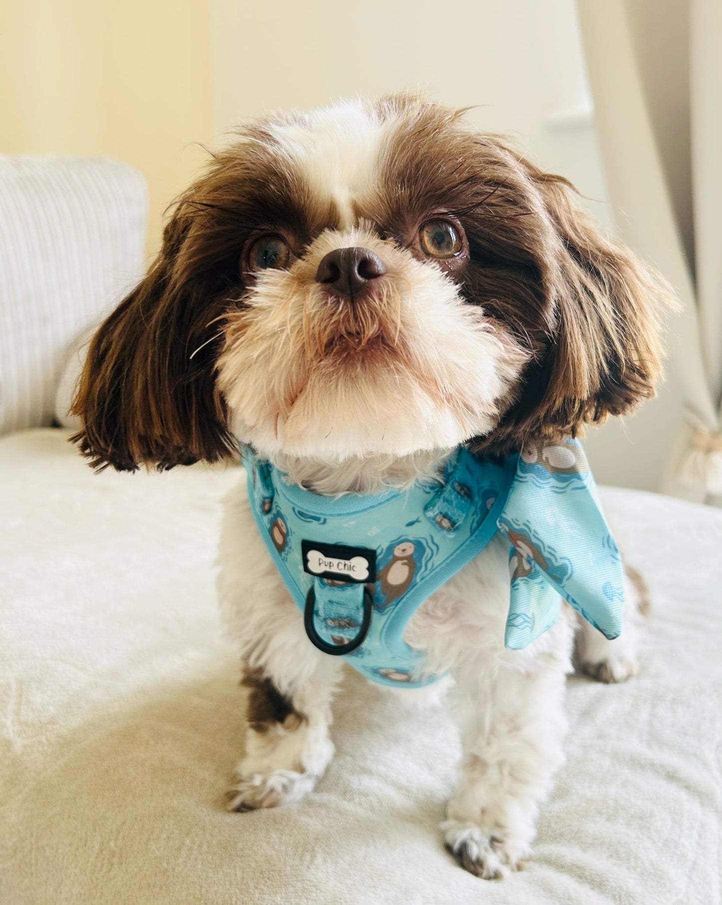 Otterly Lovely Step-in Adjustable harness (XXS-XS) 🦦💙
