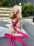 Hot Stuff pink fleece lead - dog leash