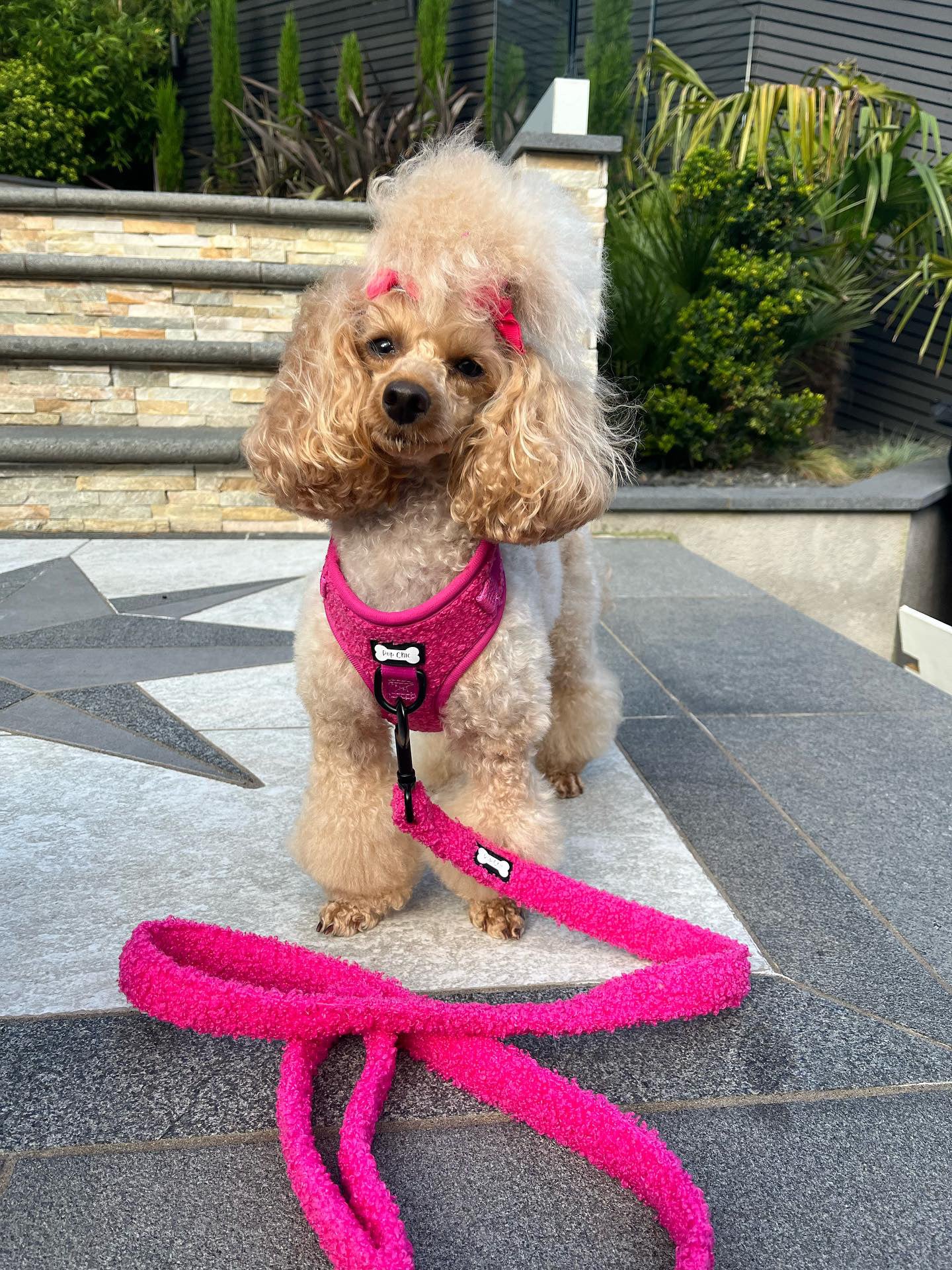 Hot Stuff pink fleece dog harness - adjustable dog harness - Pup Chic Boutique