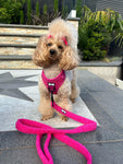 Hot Stuff pink fleece harness - adjustable dog harness