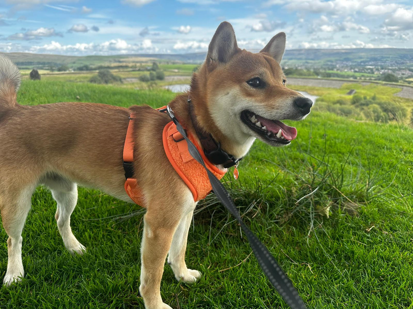 Autumn Sun orange fleece harness - adjustable dog harness
