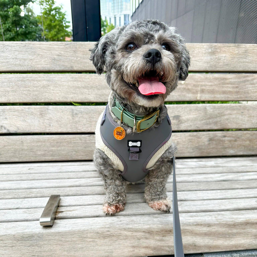 City Slicker grey vegan leather dog harness - adjustable dog harness - Pup Chic Boutique