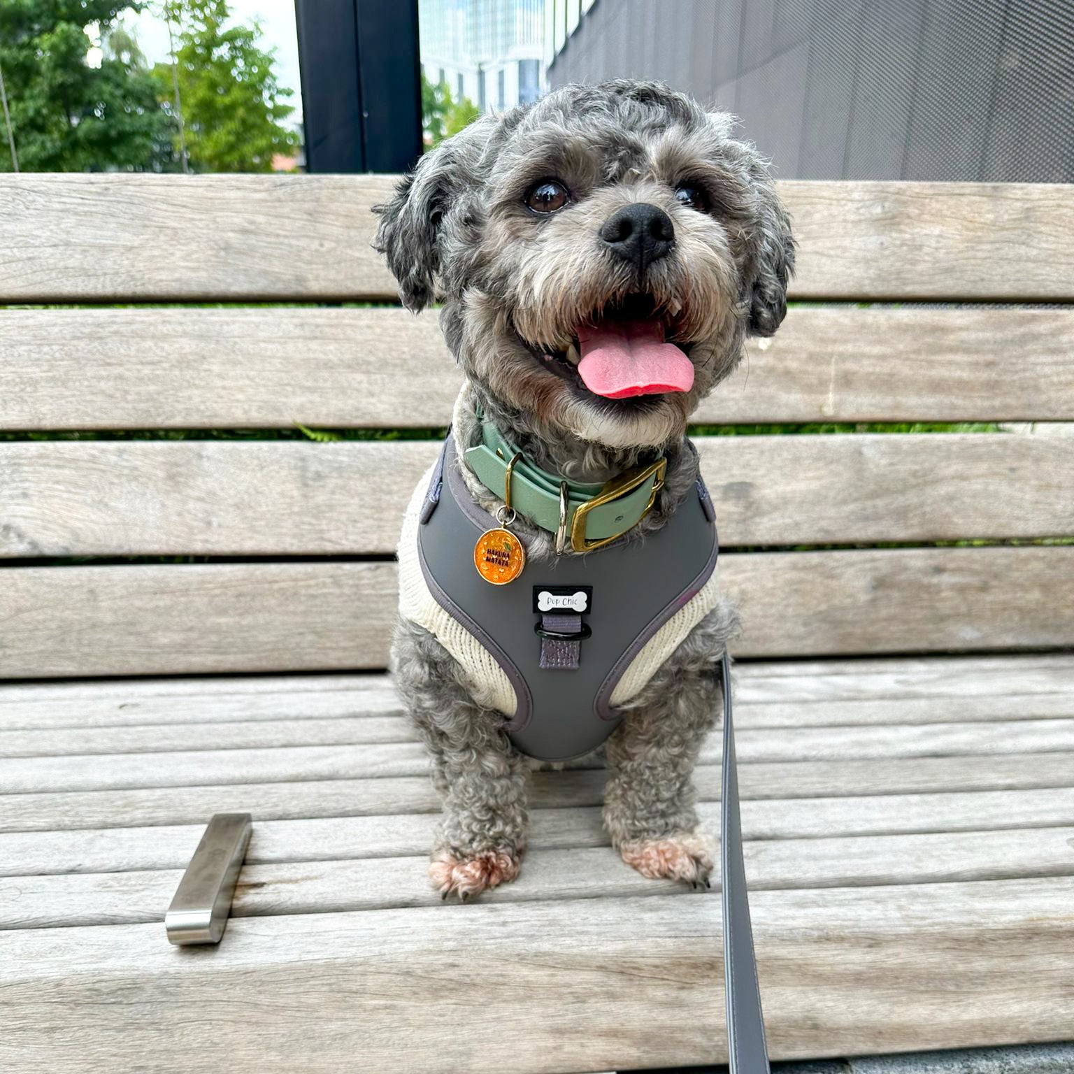 City Slicker grey vegan leather dog harness - adjustable dog harness - Pup Chic Boutique