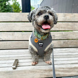 City Slicker grey vegan leather harness - adjustable dog harness