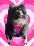 Hot Stuff pink fleece harness - adjustable dog harness