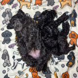 Oodles of Poodles blanket - fleece dog blanket