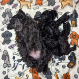Oodles of Poodles large blanket - fleece dog blanket