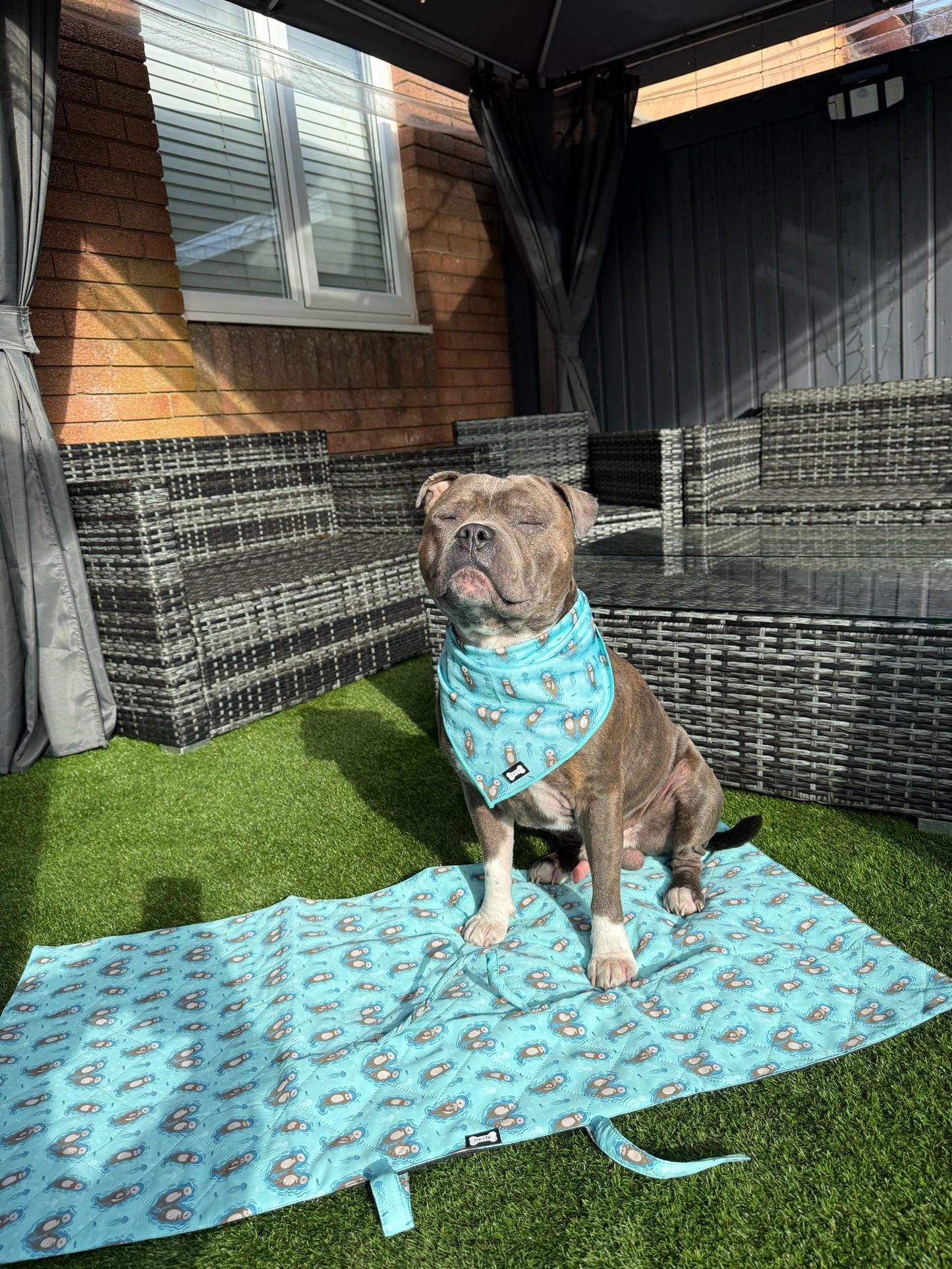 Otterly Lovely Cooling Bandana ❄️🦦💙