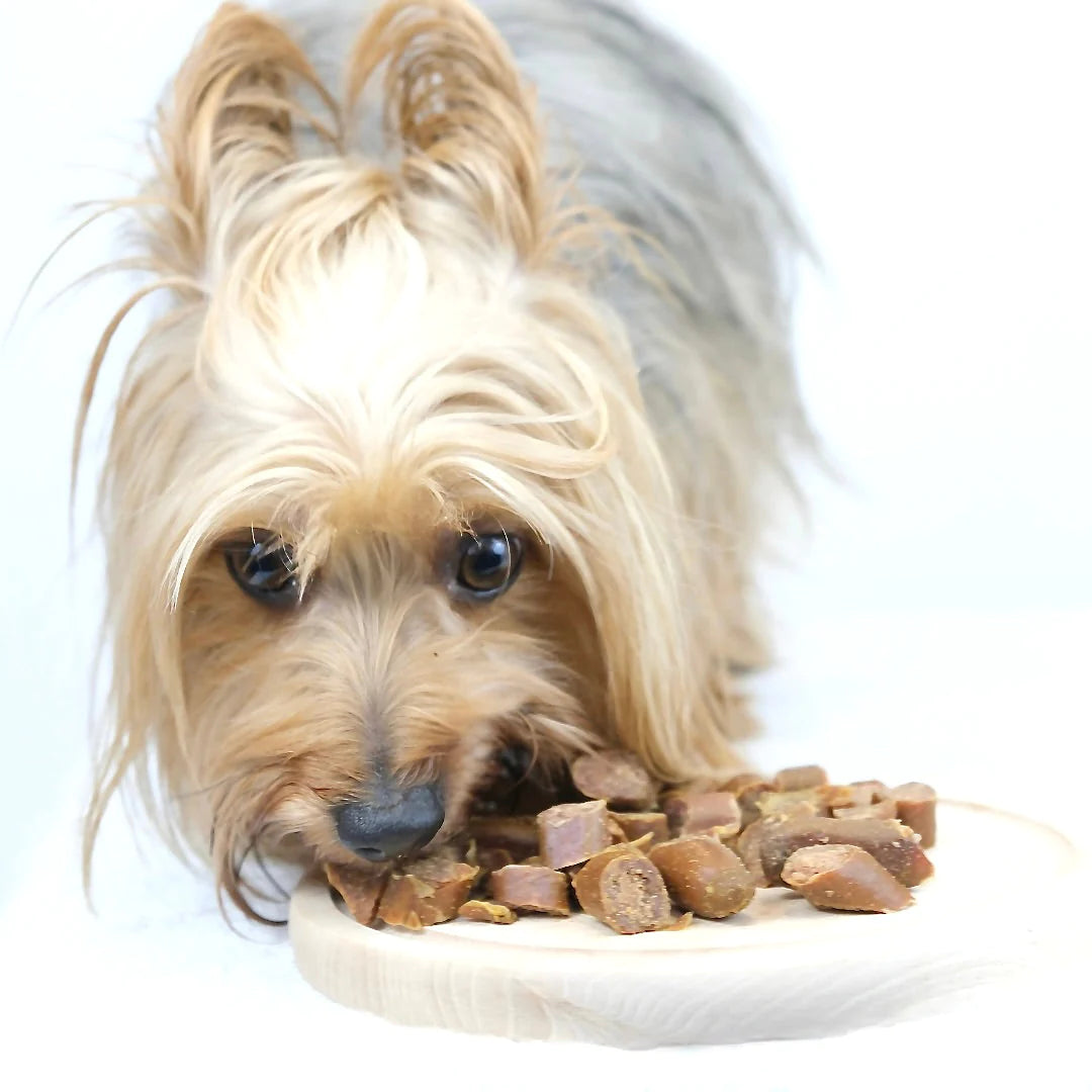 Liver slices - natural dog treats
