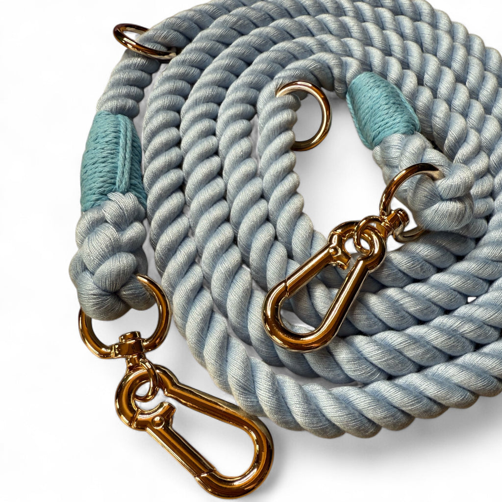 Close-up detail of metal clips and adjustable rings on blue rope lead