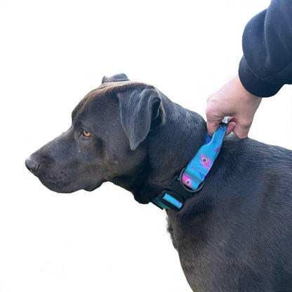 Power Peacock Tactical Dog Collar (M–XL) – Heavy-Duty Strength Meets Bold Style