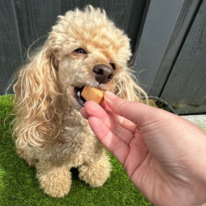 Cheesy Beetroot Crunch dog treats - Pup Chic Boutique