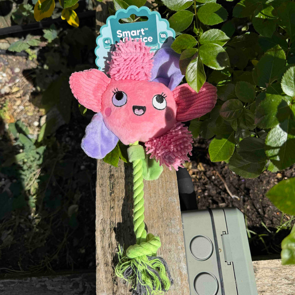 Flower Plush Dog Toy