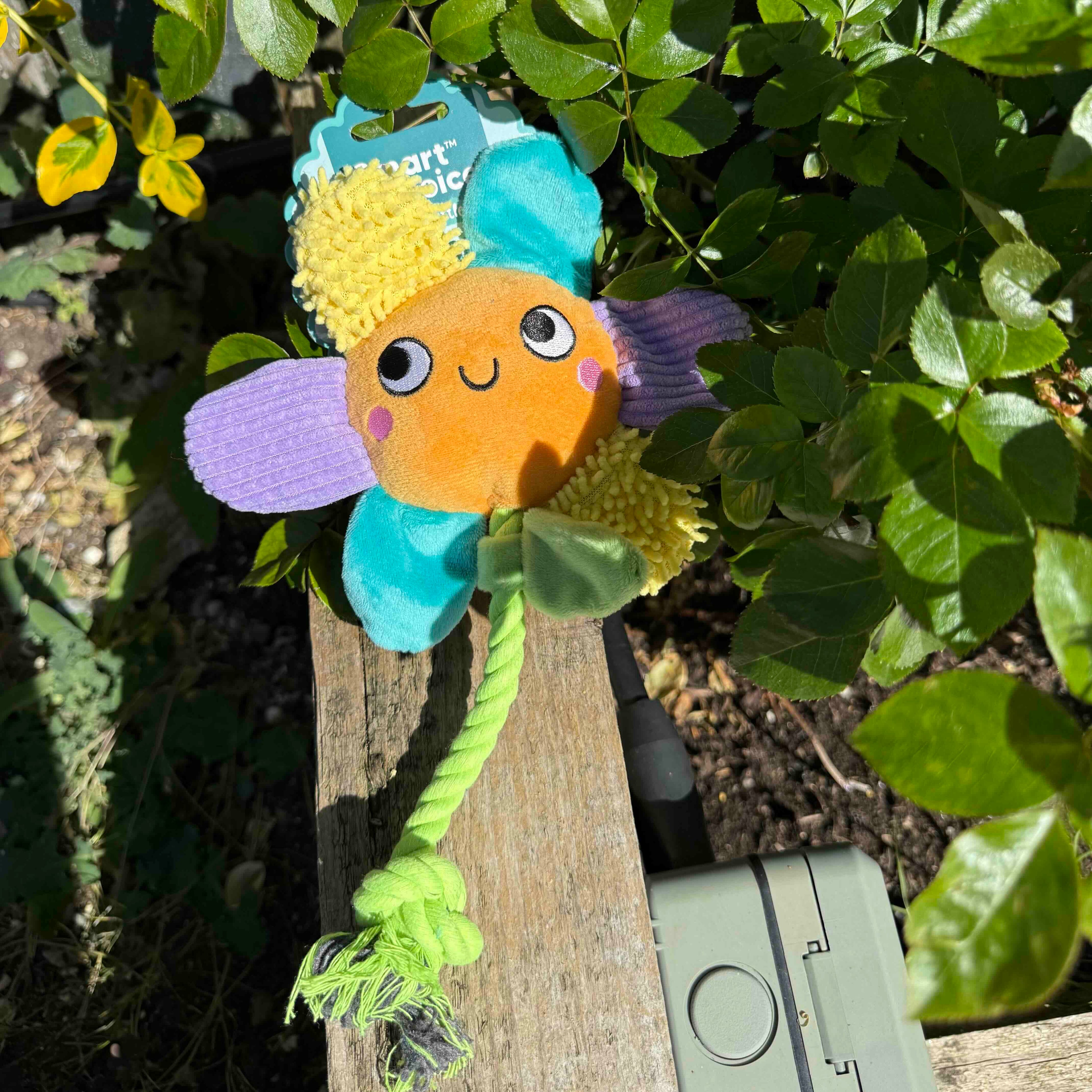 Flower Plush Dog Toy
