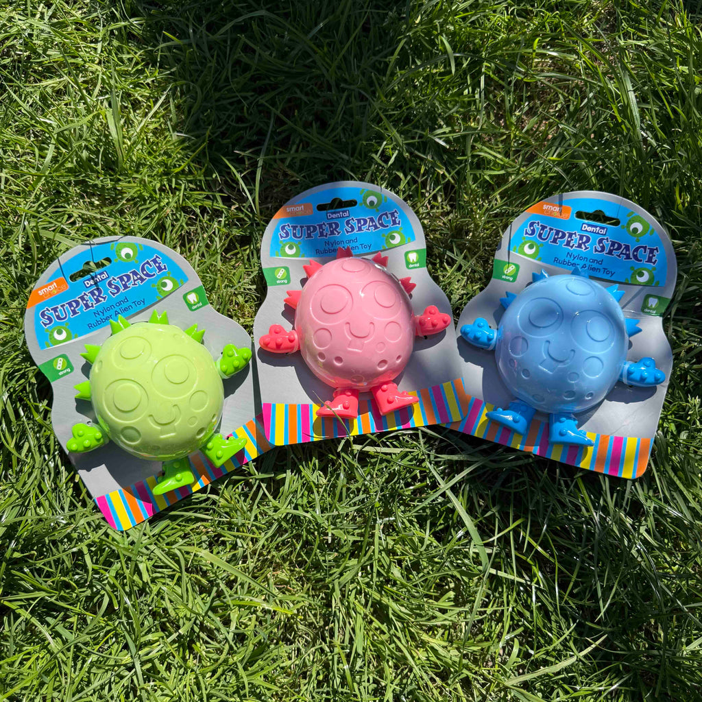 Super Space Alien Dental Dog Toy