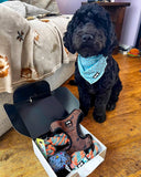 Mystery Bundle Box - dog accessory bundle box