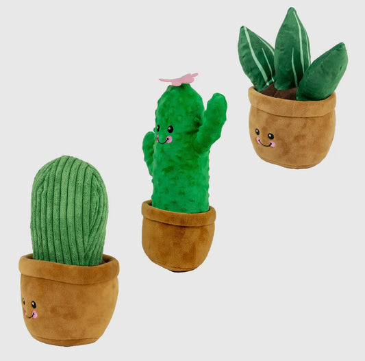 Cuddle Cactus Plush Dog Toys – Soft, Squeaky & Eco-Friendly