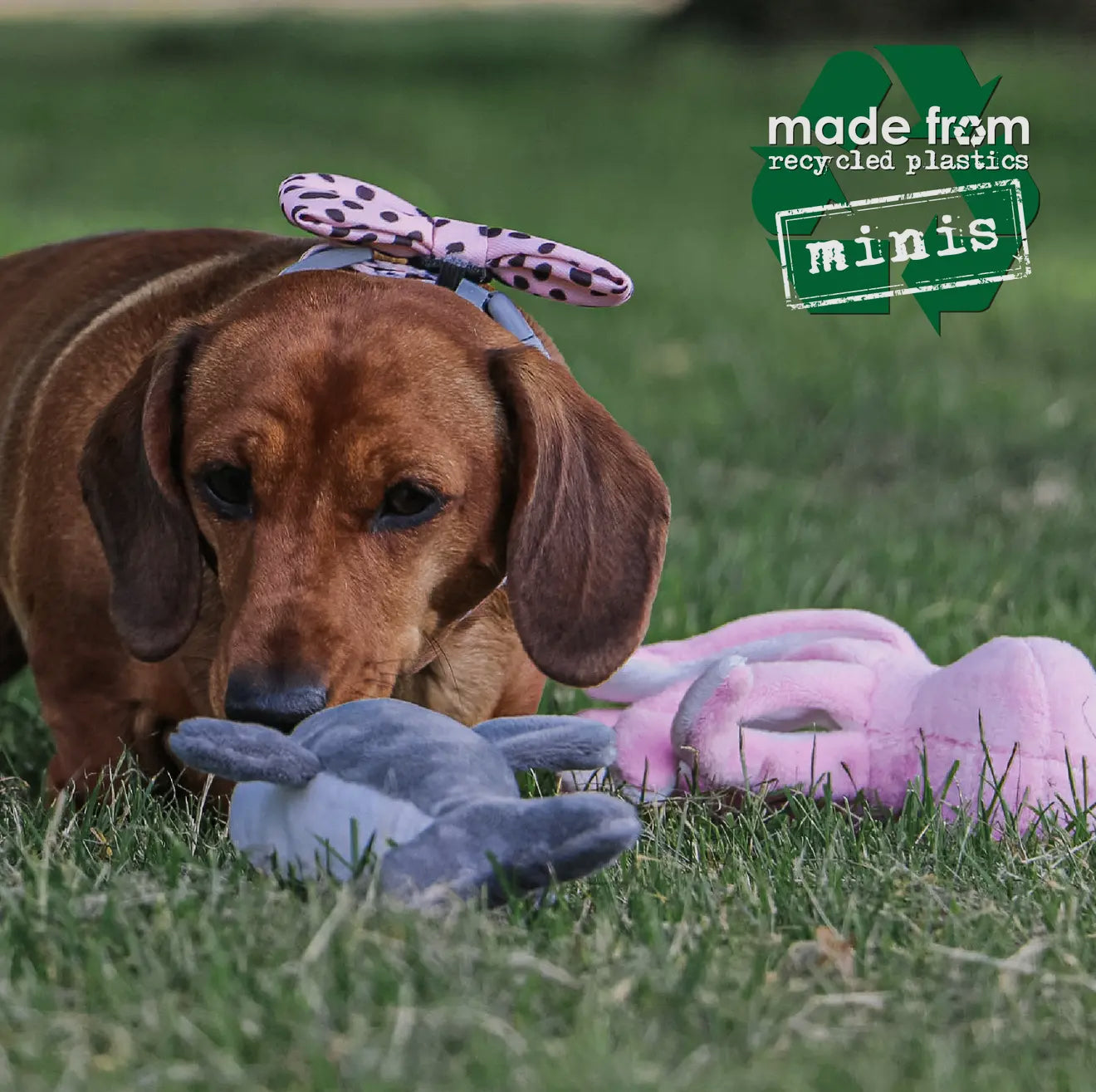 Eco-Friendly Mini Sea Mammal Dog Toys – Made From Recycled Plastic
