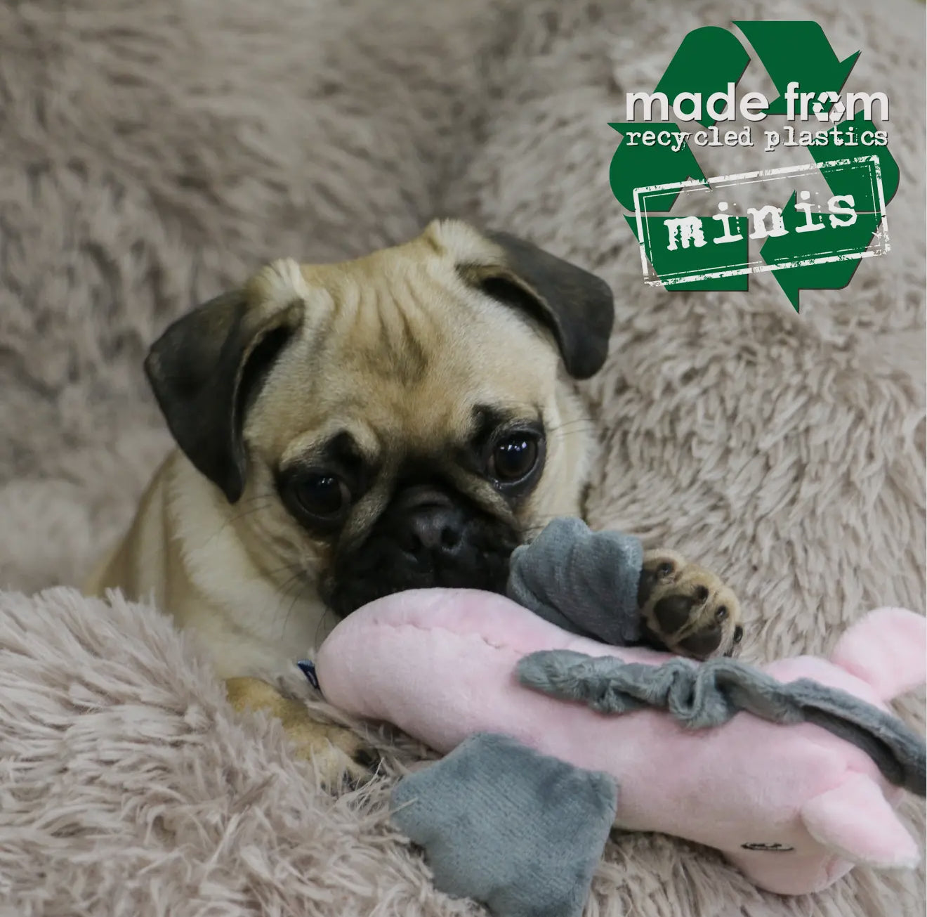 Eco-Friendly Mini Sea Animals Dog Toys – Made From Recycled Plastic
