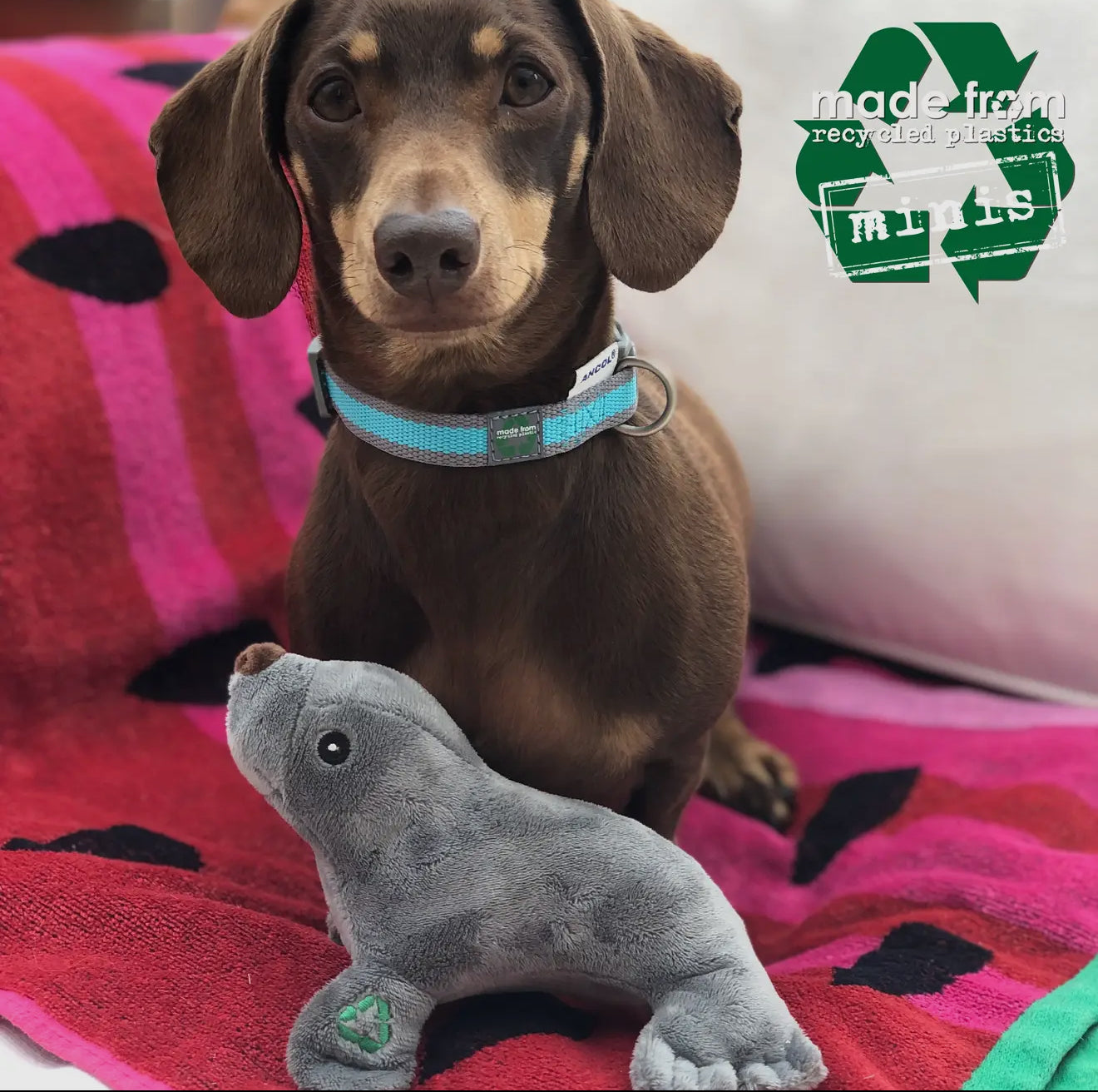 Eco-Friendly Mini Sea Animals Dog Toys – Made From Recycled Plastic