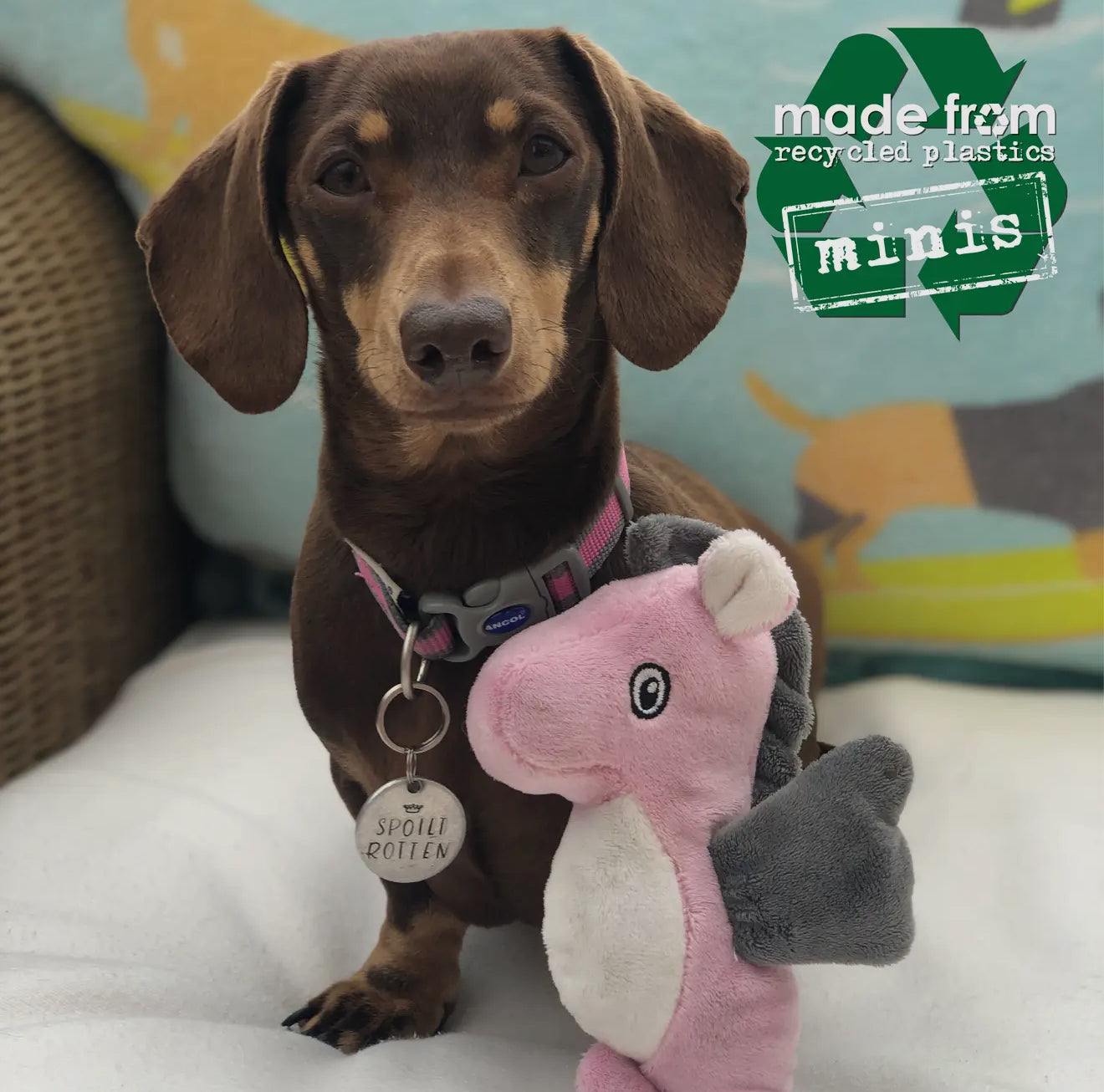 Eco-Friendly Mini Sea Animals Dog Toys – Made From Recycled Plastic