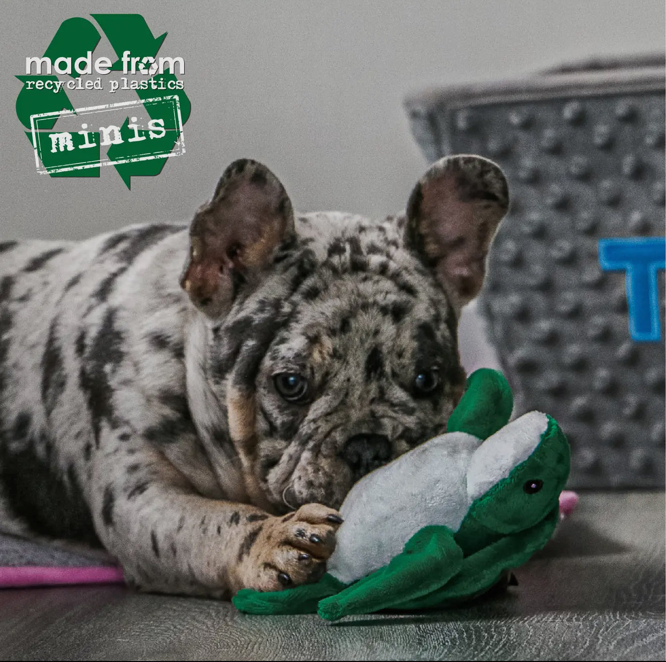 Eco-Friendly Mini Sea Animals Dog Toys – Made From Recycled Plastic