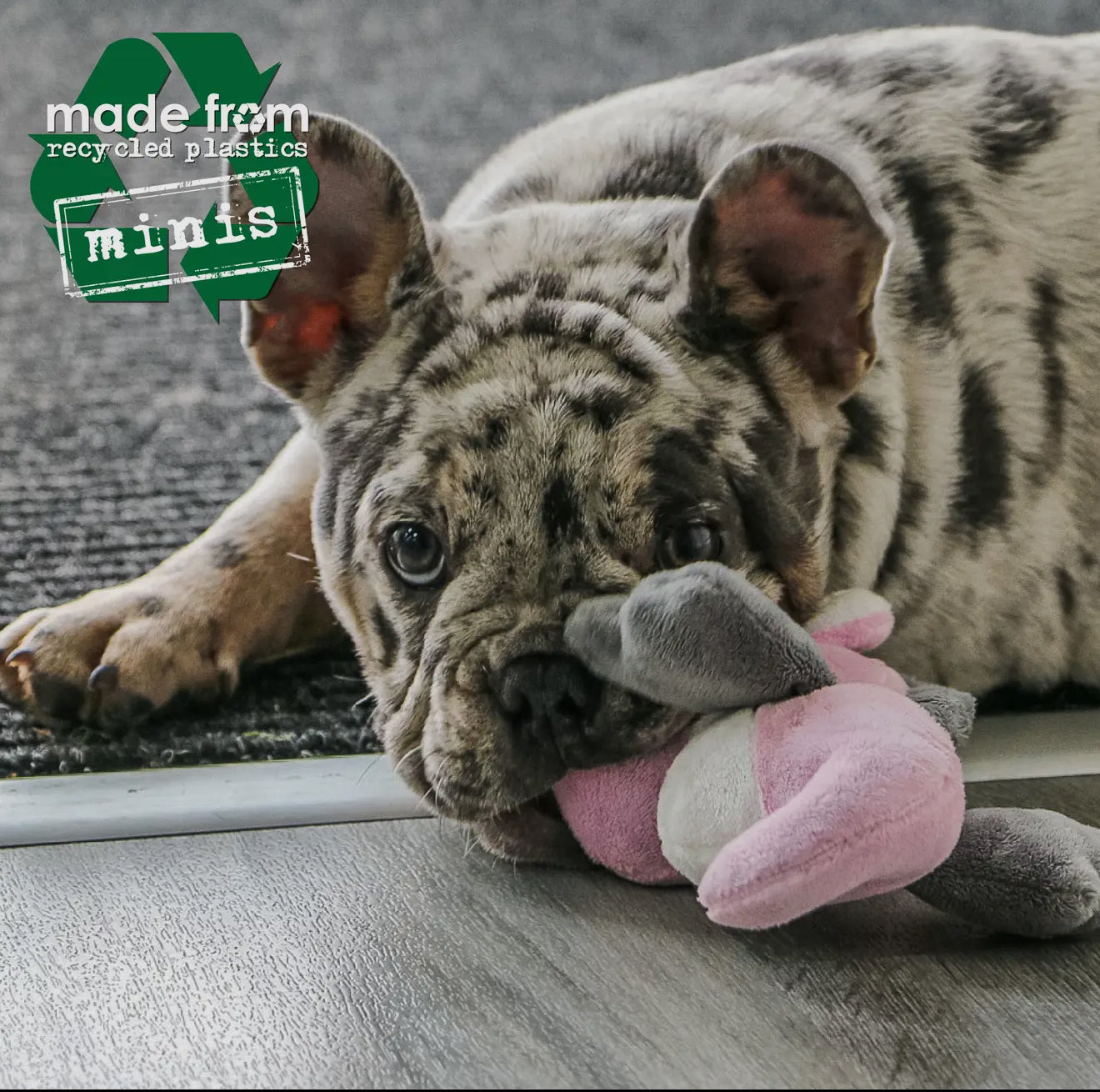 Eco-Friendly Mini Sea Animals Dog Toys – Made From Recycled Plastic