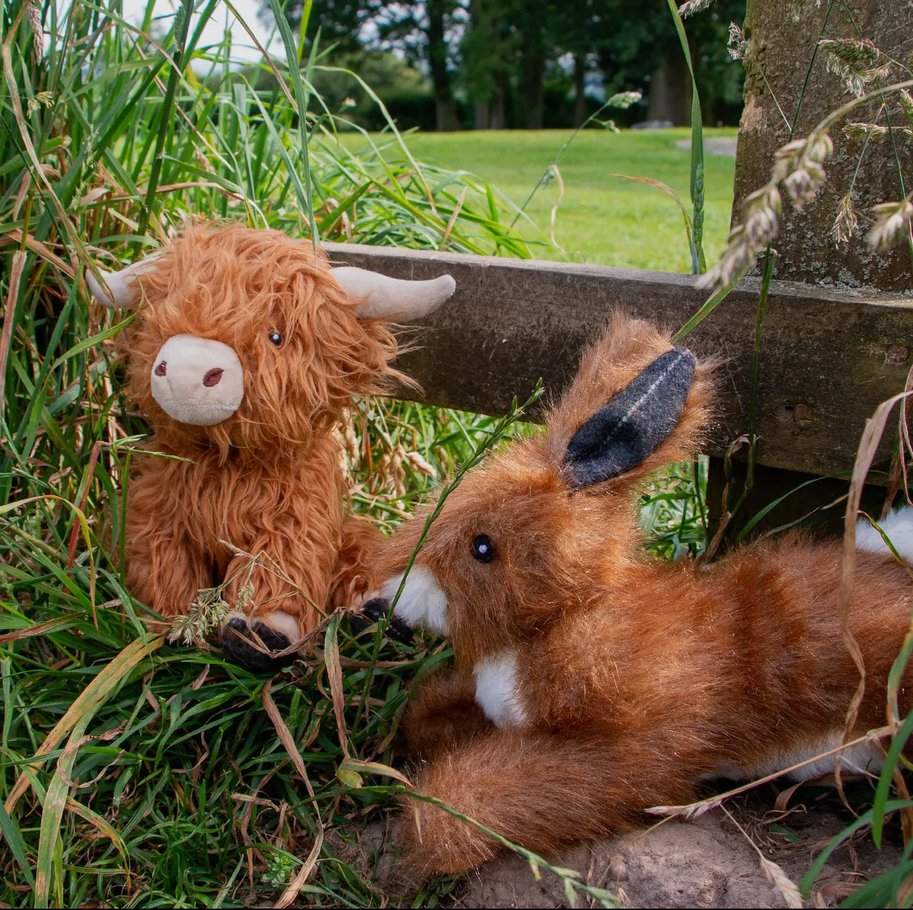 Fergus the Highland Cow – Soft Plush Dog Toy for Snuggles & Gentle Play