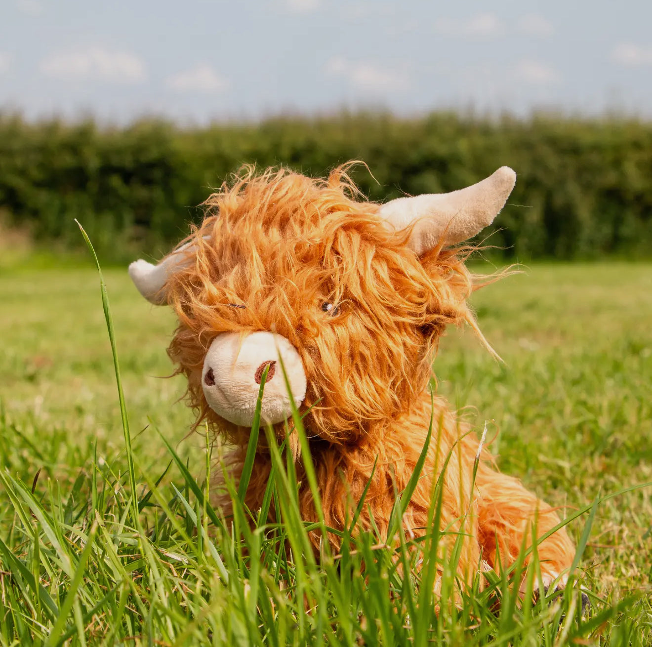 Fergus the Highland Cow – Soft Plush Dog Toy for Snuggles & Gentle Play
