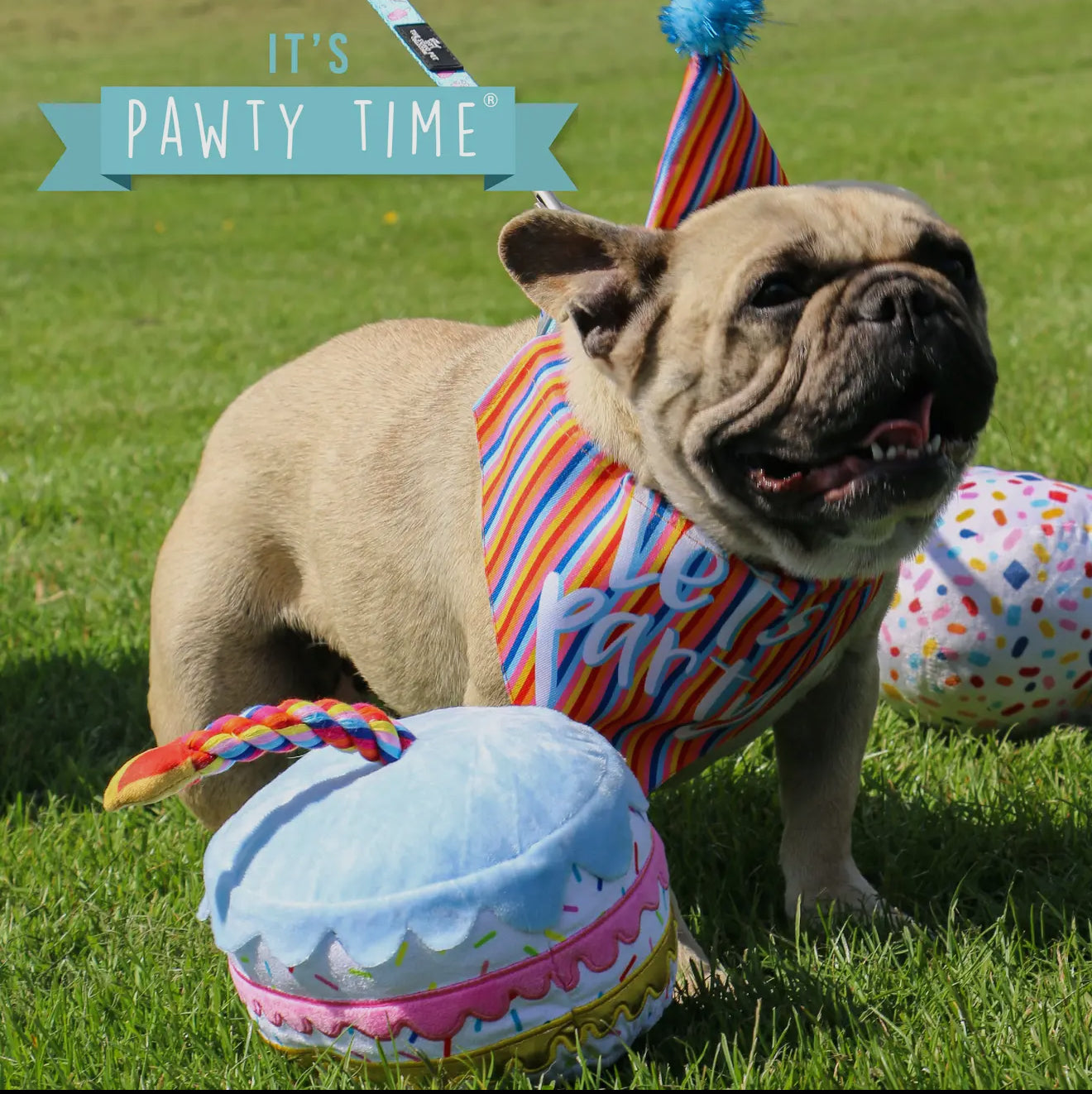 Pawty Time Sprinkle Cake Dog Toy – Plush Birthday Toy for Dogs