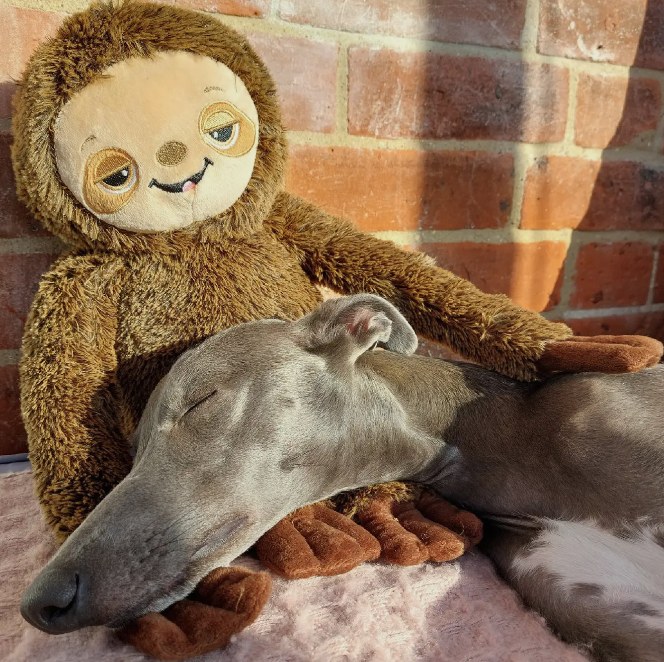 Sleepy Sloth Plush Dog Toy – Soft Cuddly Toy with Recycled Filling