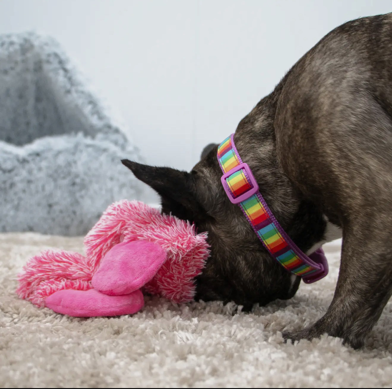 Farmyard Floppets – Silent, Unstuffed Plush Dog Toys for Gentle Play