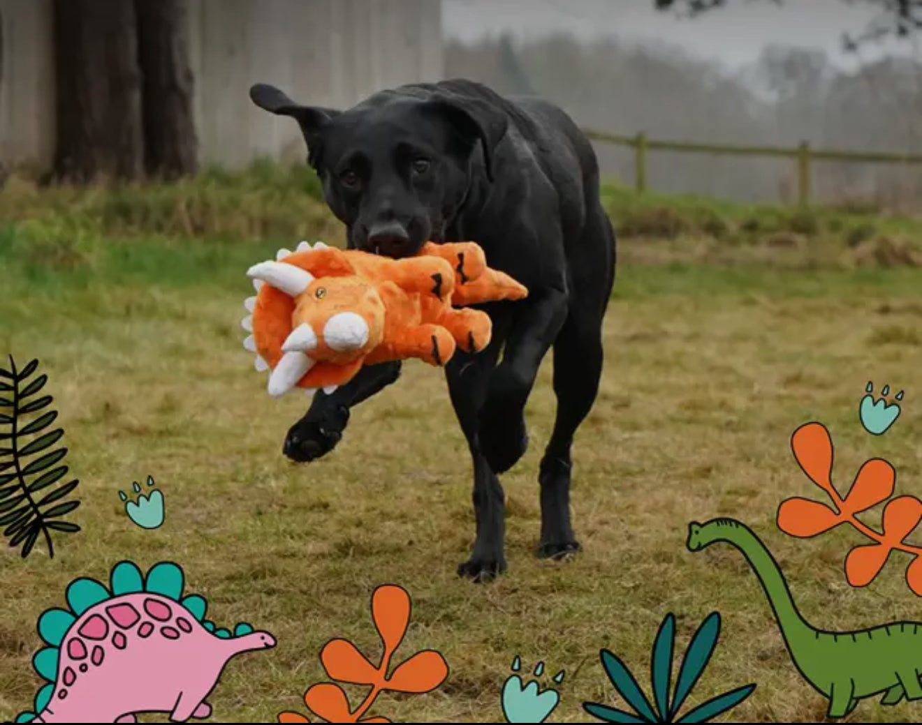 Cuddle Roarsome Dino Plush Dog Toys – Soft Dinosaur Toys for Gentle Play